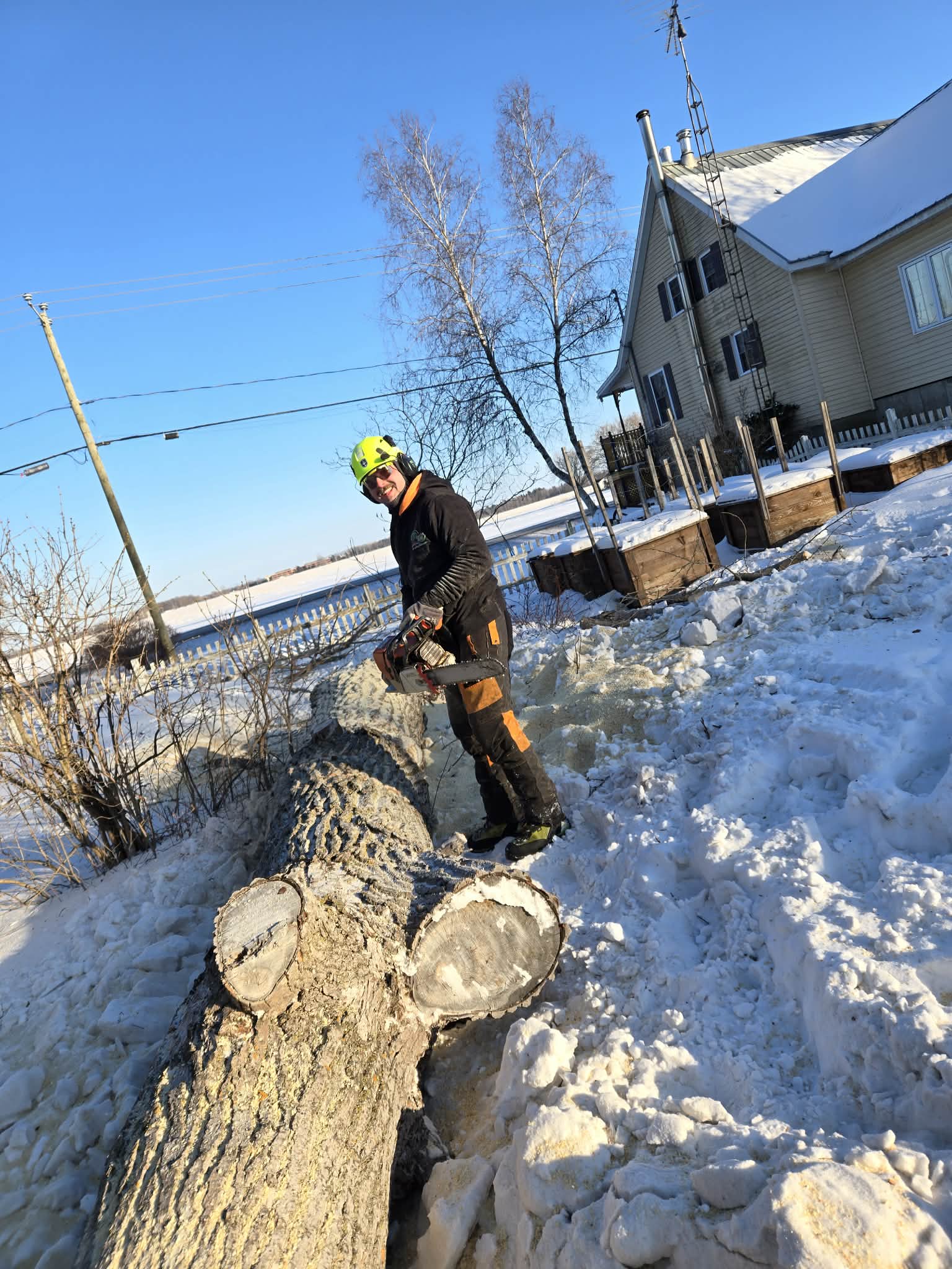 William Maltais, arboriculteur et fondateur de Nova Arbo, tronçonneuse à la main sur un chantier d'hiver